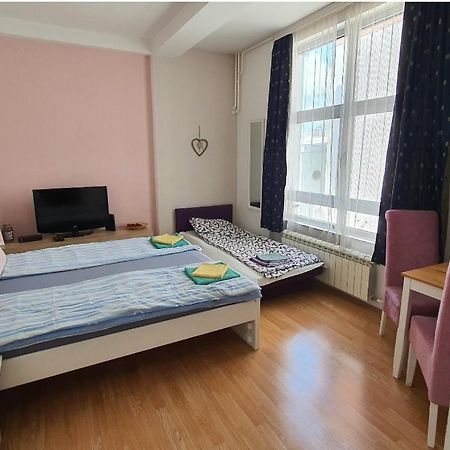 Studio Apartman Ld U Strogom Centru Novi Sad Buitenkant foto