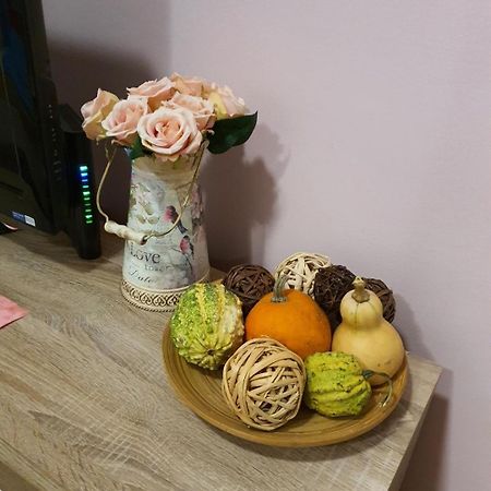 Studio Apartman Ld U Strogom Centru Novi Sad Buitenkant foto