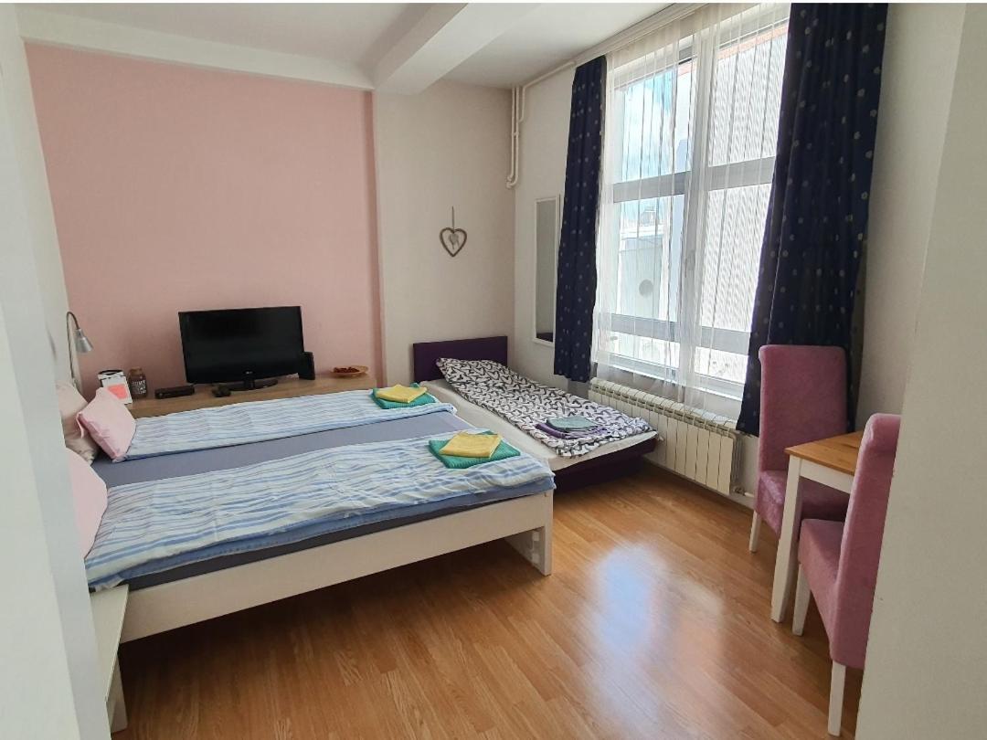 Studio Apartman Ld U Strogom Centru Novi Sad Buitenkant foto