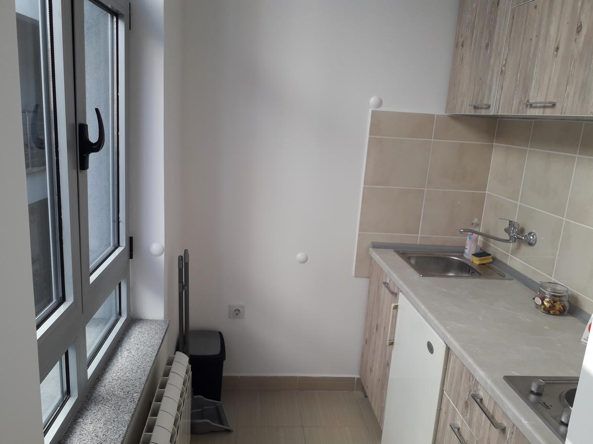Studio Apartman Ld U Strogom Centru Novi Sad Buitenkant foto