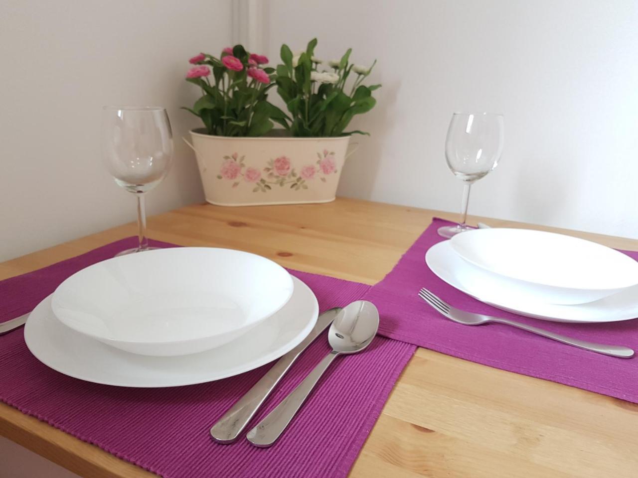 Studio Apartman Ld U Strogom Centru Novi Sad Buitenkant foto